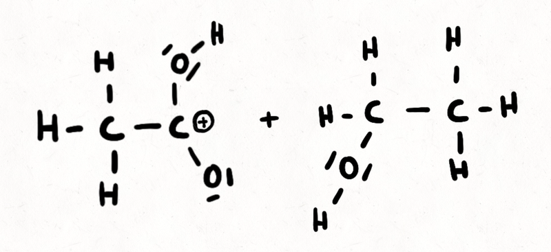 Chemie-LK veranschaulicht Veresterung im Video